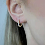 Creolen mit Zirkonen, vergoldet